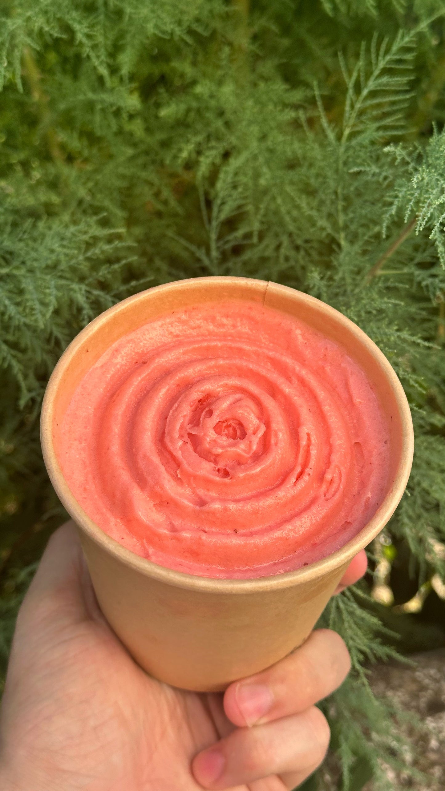 Glace Artisanale